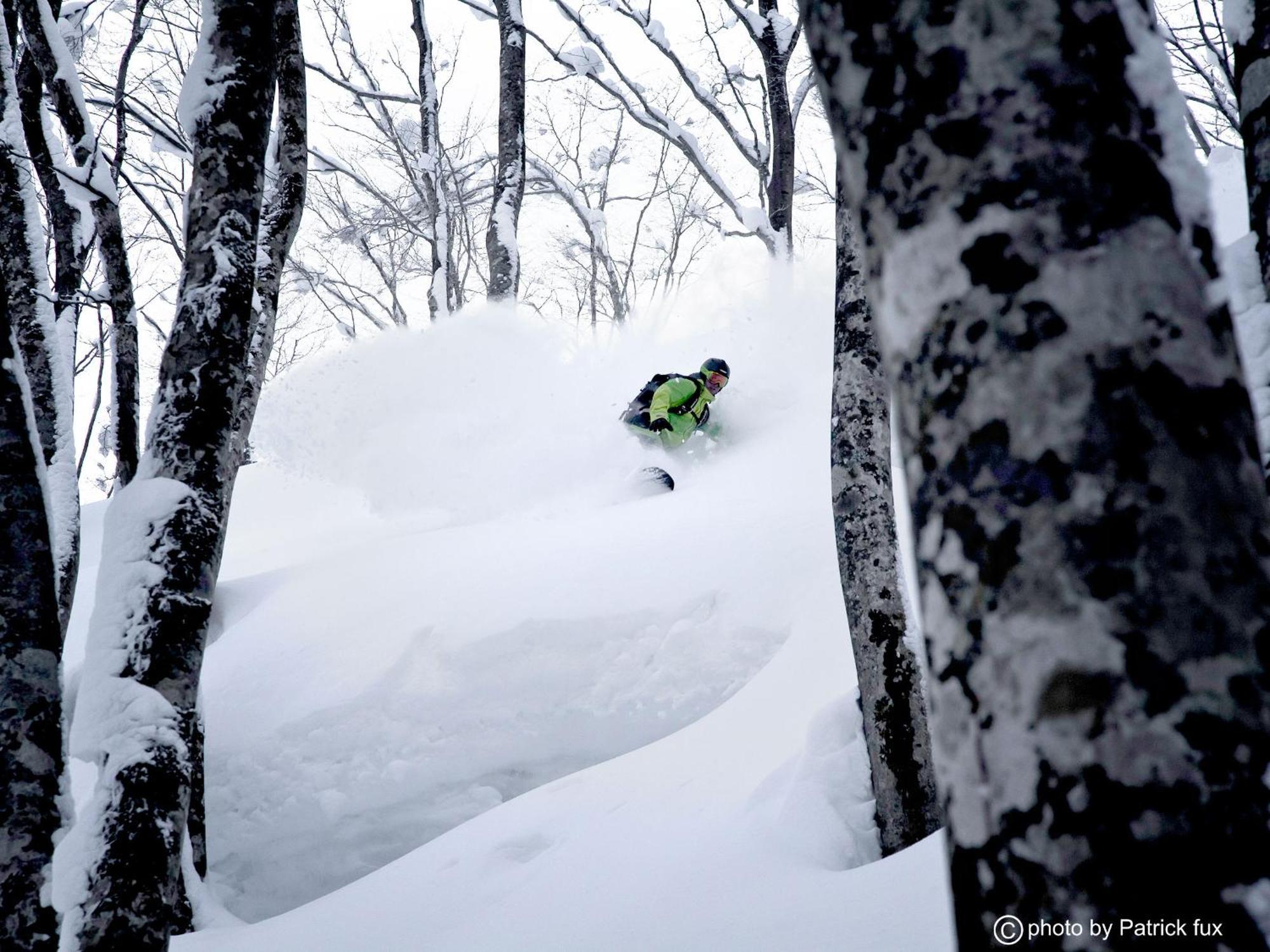 Hotel Green Plaza Hakuba Otari Buitenkant foto