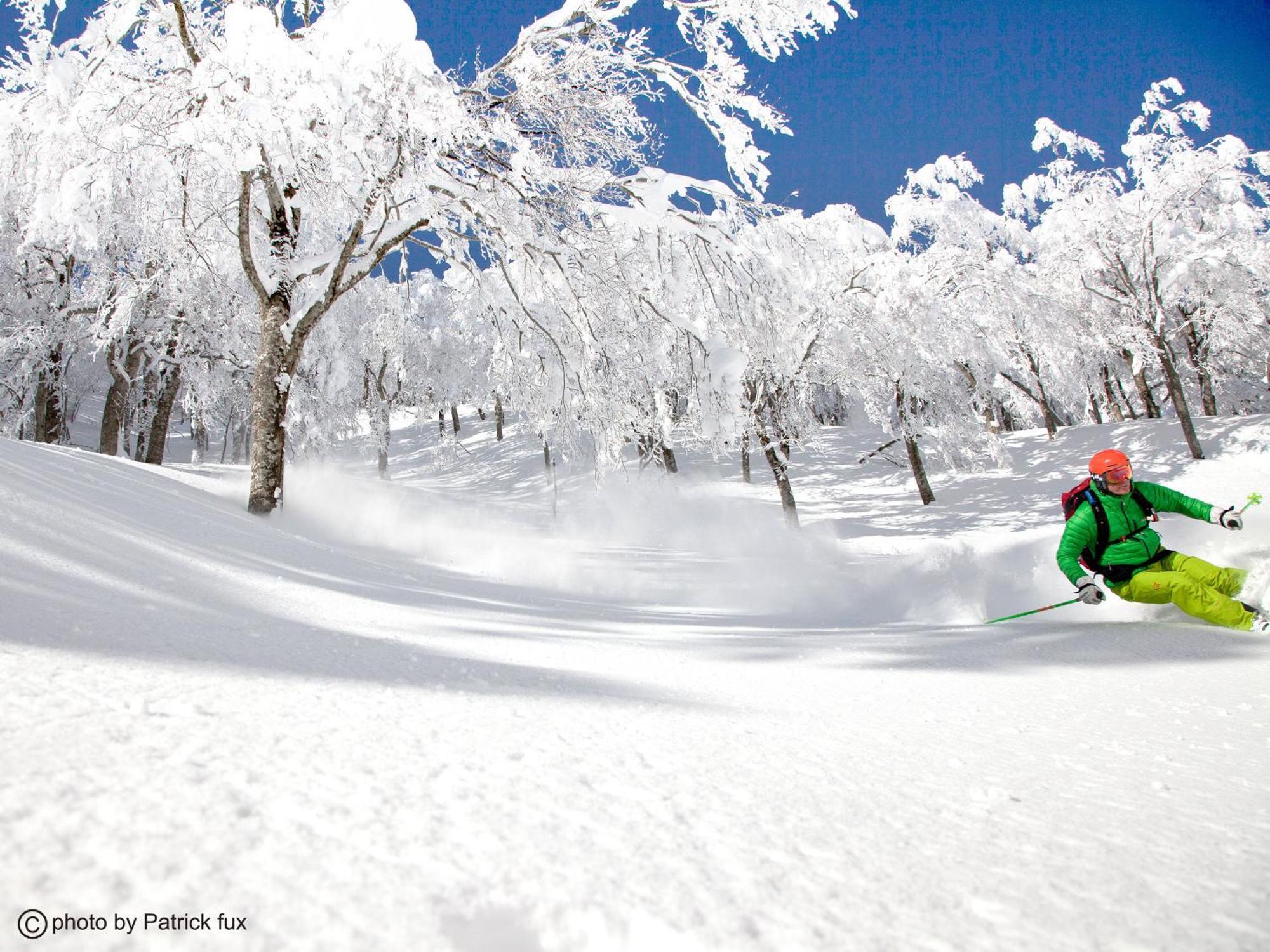Hotel Green Plaza Hakuba Otari Buitenkant foto