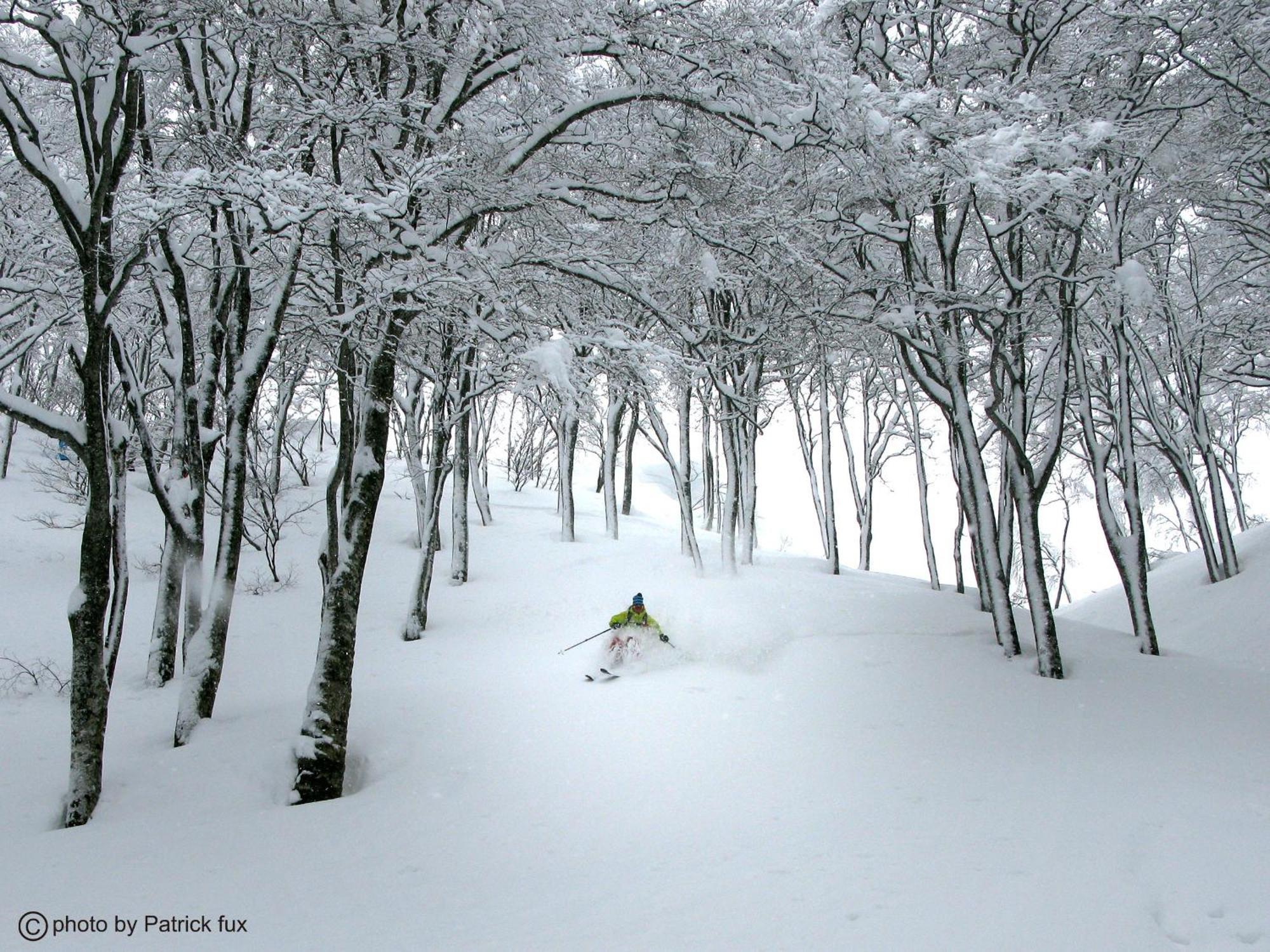 Hotel Green Plaza Hakuba Otari Buitenkant foto
